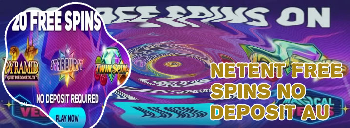 Netent casino free spins no deposit